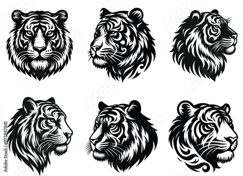 tiger head vector