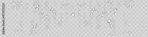 Water rain drops or steam shower isolated on transparent background. Realistic pure droplets condensed. Vector clear vapor water bubbles on window glass surface for your design.