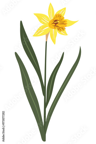 A single yellow daffodil with a trumpet-shaped center blooms on a green stem.