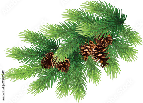 pine cones on branch, illustration on transparent, png. drawing of seasonal autumn green fir and cones. Autumn or fall