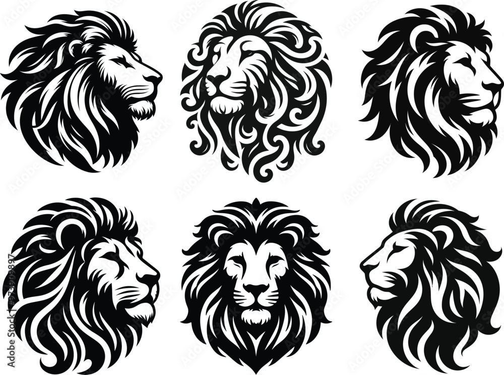 Obraz premium lion head icon