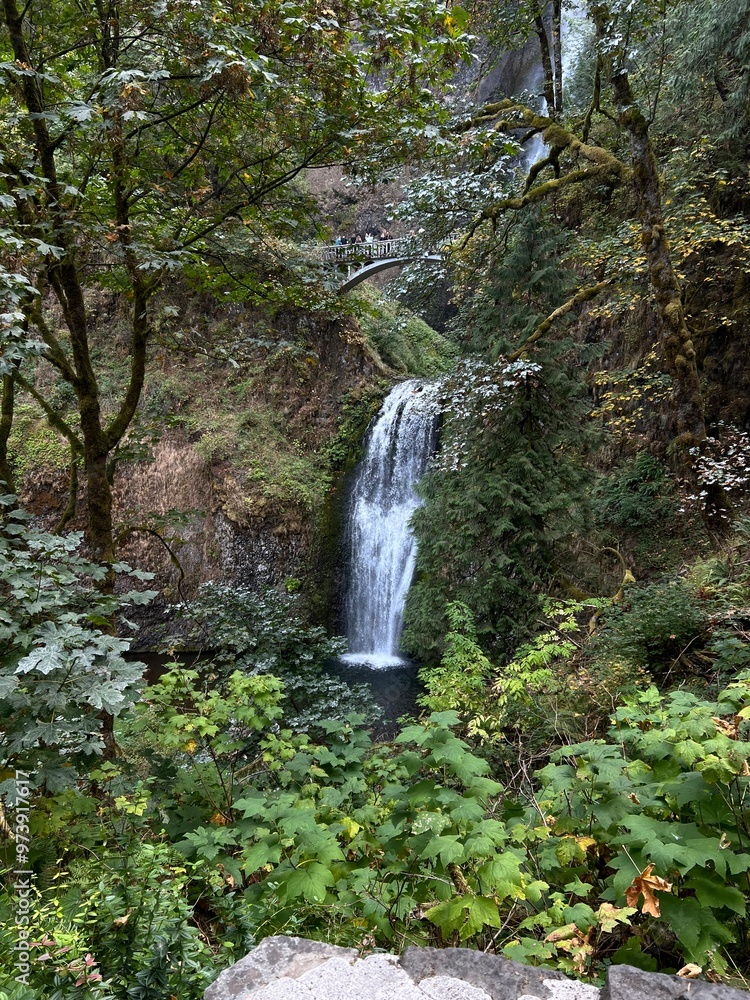 Fototapeta premium waterfall in the mountains