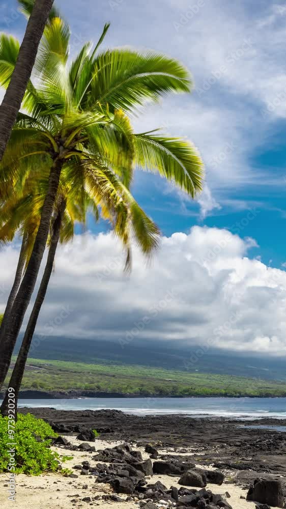 Time Lapse of the clouds and palm trees along the beautiful coastline of the Big Island of Hawaii Time Lapse of the clouds and palm trees along the beautiful coastline of the Big Island of Hawaii