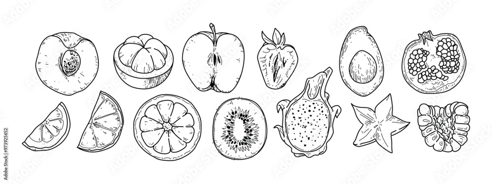 Fruit cut in Hand-drawn style set , cut in half, Drawing of food elements for design menu label packaging . icons vector illustration Fruit cut in Hand-drawn style set , cut in half, Drawing of food elements for design menu label packaging . icons vector illustration