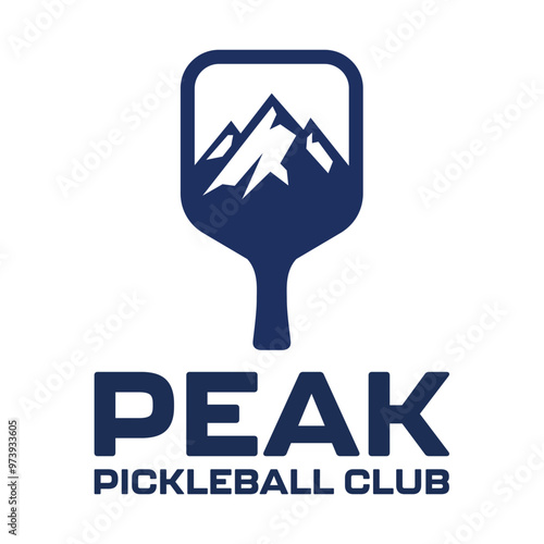 Puncak pickleball racket pickleball bola pickleball