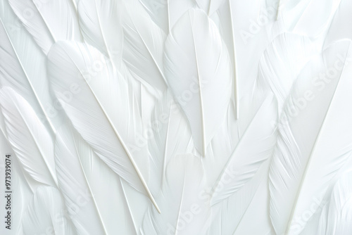 Wallpaper Mural Delicate white feathers arranged intricately on a soft surface for artistic display Torontodigital.ca