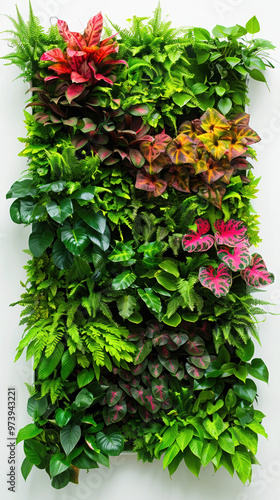 Wallpaper Mural plants leaves greenery vertical garden indoor plants foliage green wall home decor botanical nature leaf texture plant arrangement living wall exotic plants Torontodigital.ca