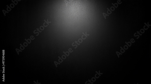 High-quality backdrop solution with a uniform plain background, offering photographers and content creators a versatile