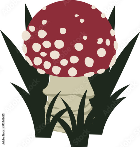 Amanita muscaria, fly agaric photo