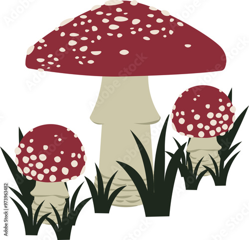 Amanita muscaria, fly agaric photo