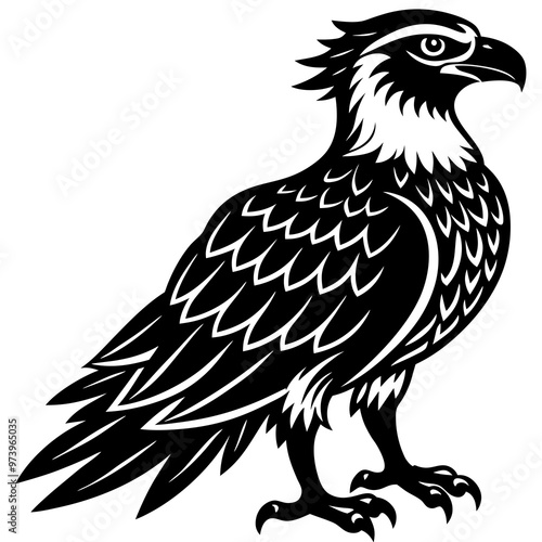 black osprey silhouette vector animal illustration on white background