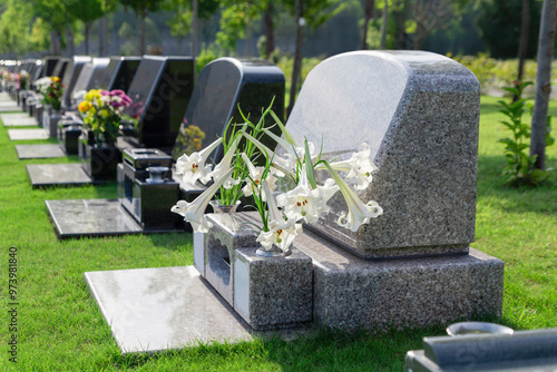 Wallpaper Mural 霊園の墓石イメージ Torontodigital.ca