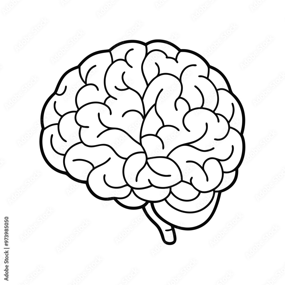 Detailed Brain Vector Graphic, Brain Anatomy Vector Illustration. Detailed Brain Vector Graphic, Brain Anatomy Vector Illustration.