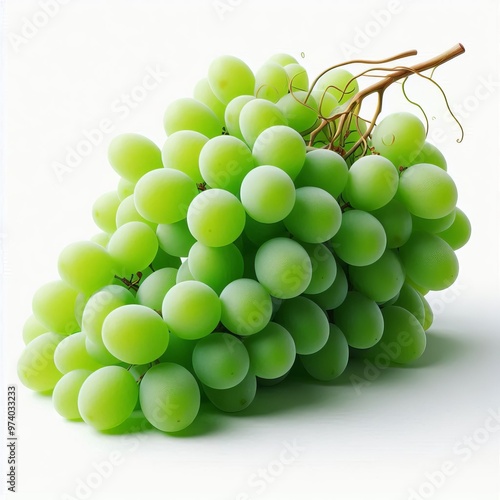 A cluster of ripe, green grapes, isolated on a white background photo