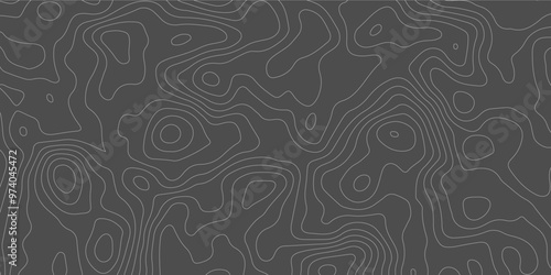 White wave paper curved reliefs abstract background, Abstract topographic contours map background, Topography map background. Vector geographic contour map