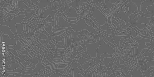 White wave paper curved reliefs abstract background, Abstract topographic contours map background, Topography map background. Vector geographic contour map