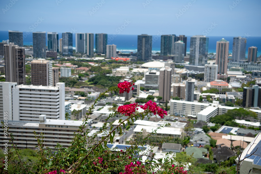 Fototapeta premium Red Bougainvillea overlooking downtown Honolulu Hawaii and Waiki