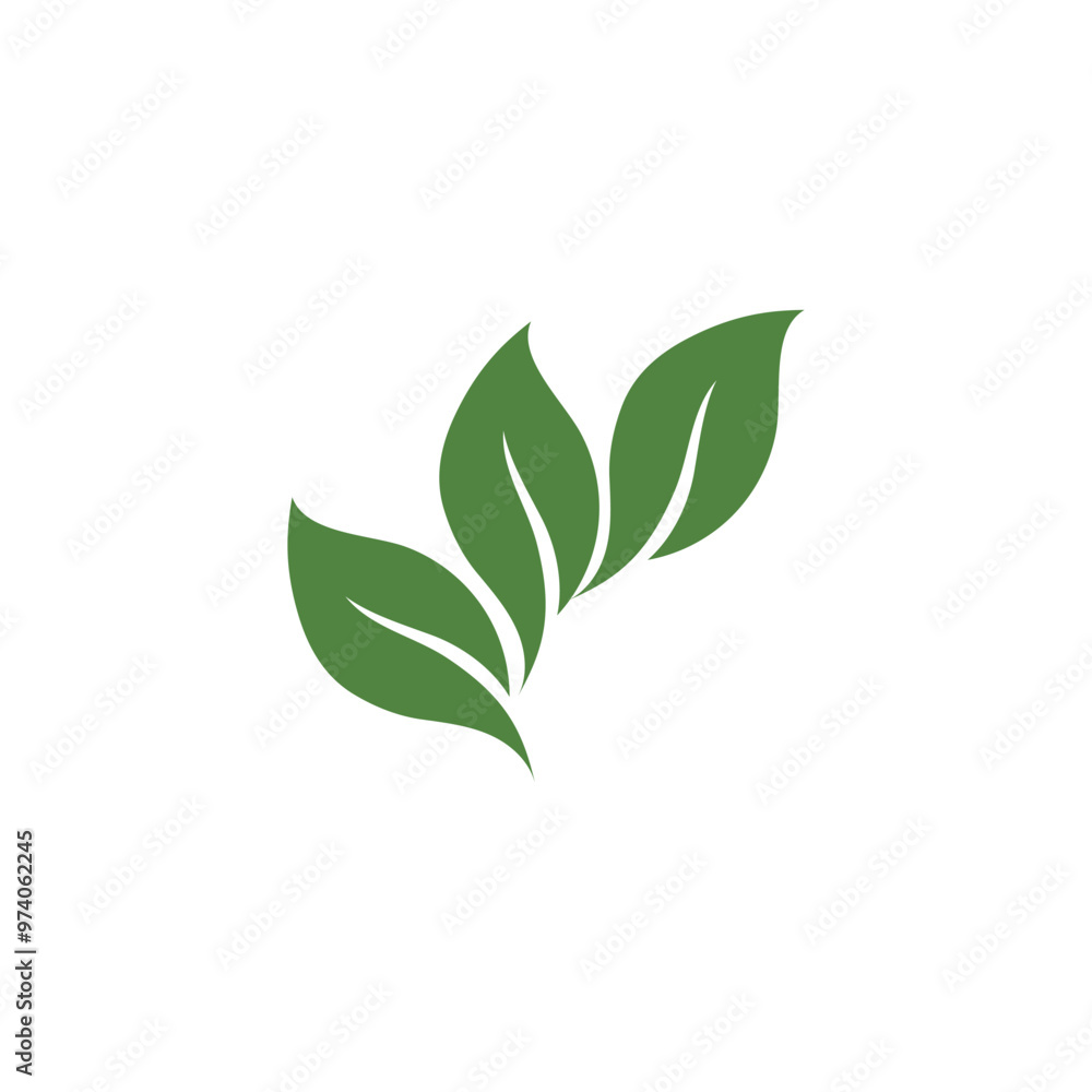 Fototapeta premium Leaf Green Nature Ecology Element Vector Image