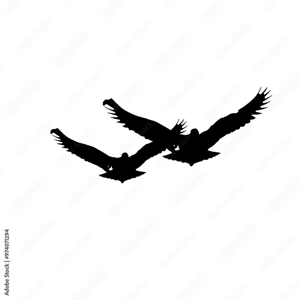 PNG flying birds animation PNG transparent PNG flying birds animation PNG transparent