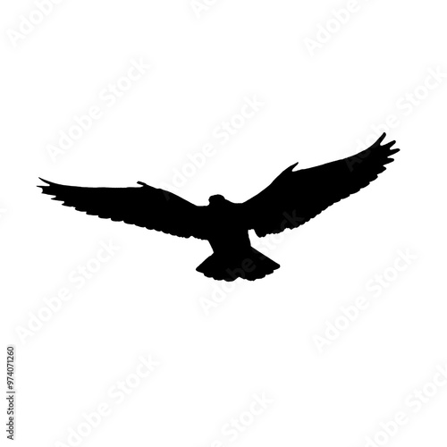 PNG flying birds animation PNG transparent