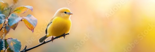  A yellow bird perches on a branch before a yellow backdrop, adjacent to a green leafy plant