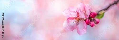  A pink flower, focused closely, atop a branch against a backdrop of softly blurred pink blooms