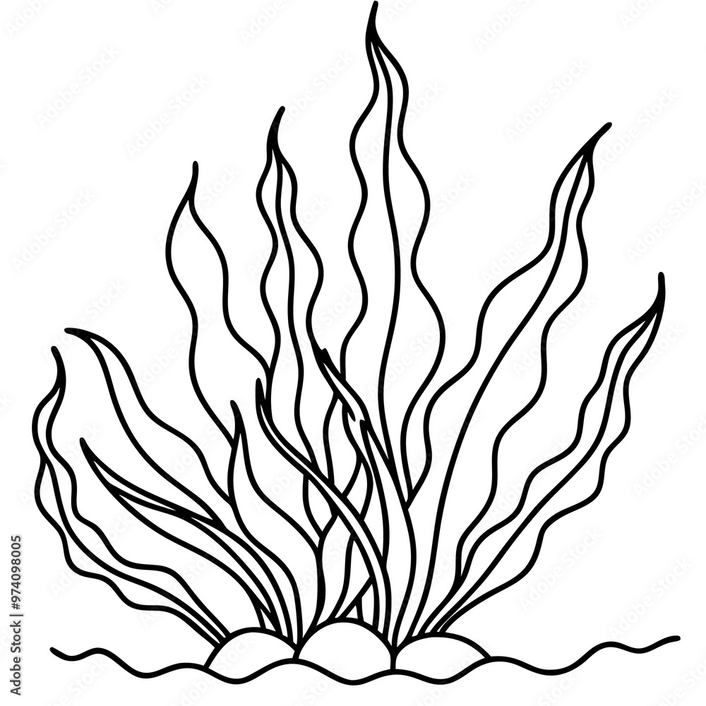 ocean plant outline coloring book page line art drawing ocean plant outline coloring book page line art drawing