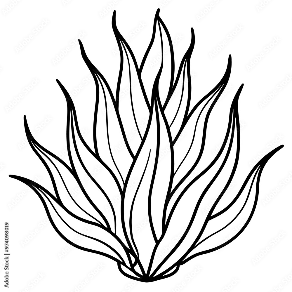 ocean plant outline coloring book page line art drawing ocean plant outline coloring book page line art drawing