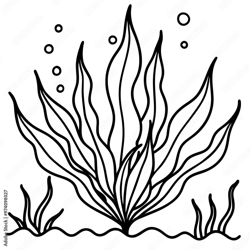 ocean plant outline coloring book page line art drawing ocean plant outline coloring book page line art drawing
