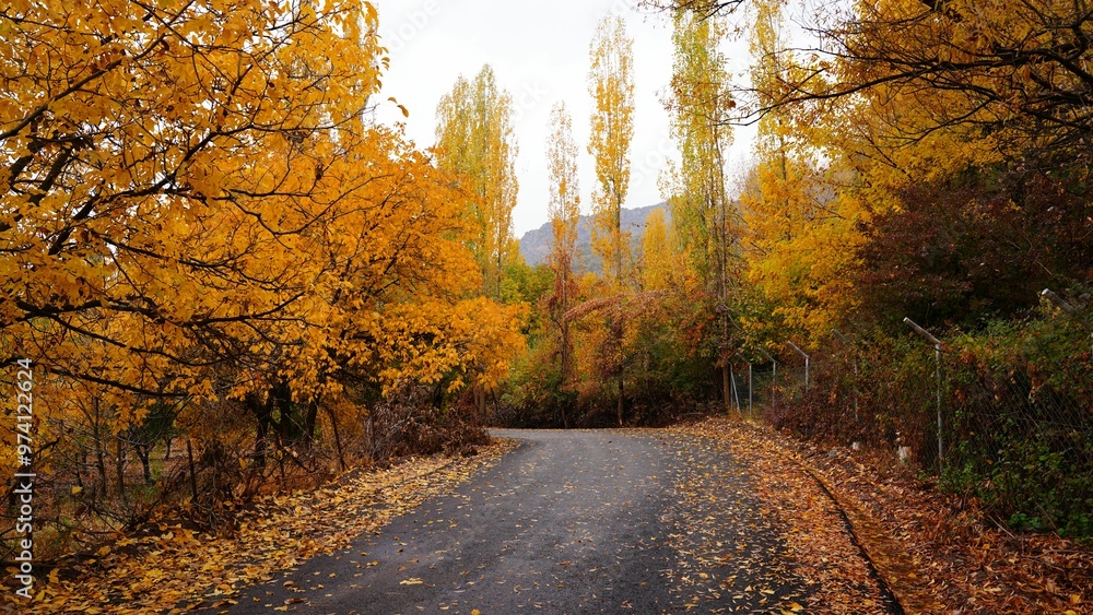 Obraz premium Autumn color, Village