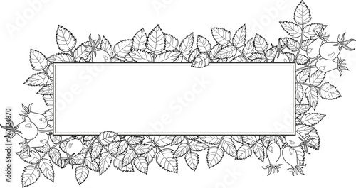 Hand drawn autumn botanical frame with rosehip leaves. Vector illustration in sketch style isolated on white. Realistic rosehip design element. Space for text