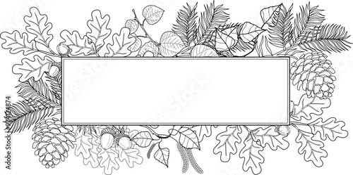 Hand drawn autumn botanical frame with falling leaves. Vector illustration in sketch style isolated on white. Realistic forest design element. Space for text
