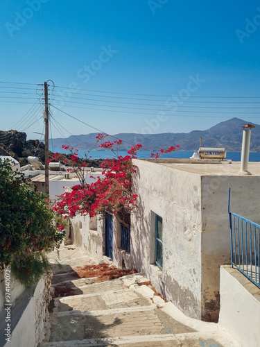 Panoramic view to the Aegean and Greek traditional white houses with bougenvilla from Plaka village, Milos island, Cyclades, Greece photo