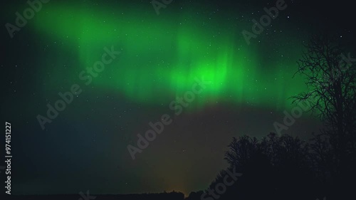 The Northern Lights on the background of the starry sky.