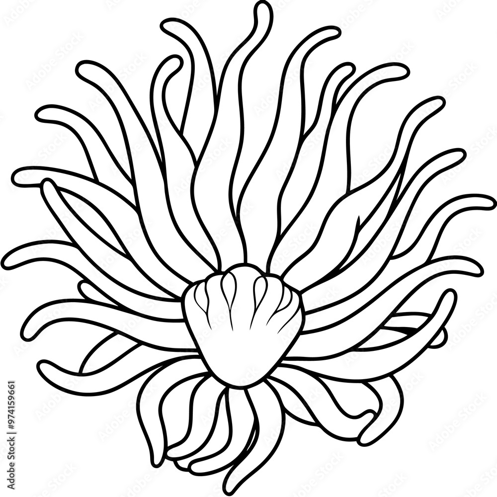 sea anemone outline coloring book page line art drawing sea anemone outline coloring book page line art drawing