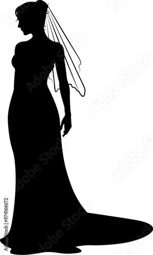 A woman bride in a bridal wedding dress in a silhouette