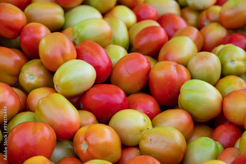 Fresh ripe tomatoes sold in a supermarket. Fresh red tomatoes, Red tomatoes background Fresh ripe tomatoes sold in a supermarket. Fresh red tomatoes, Red tomatoes background