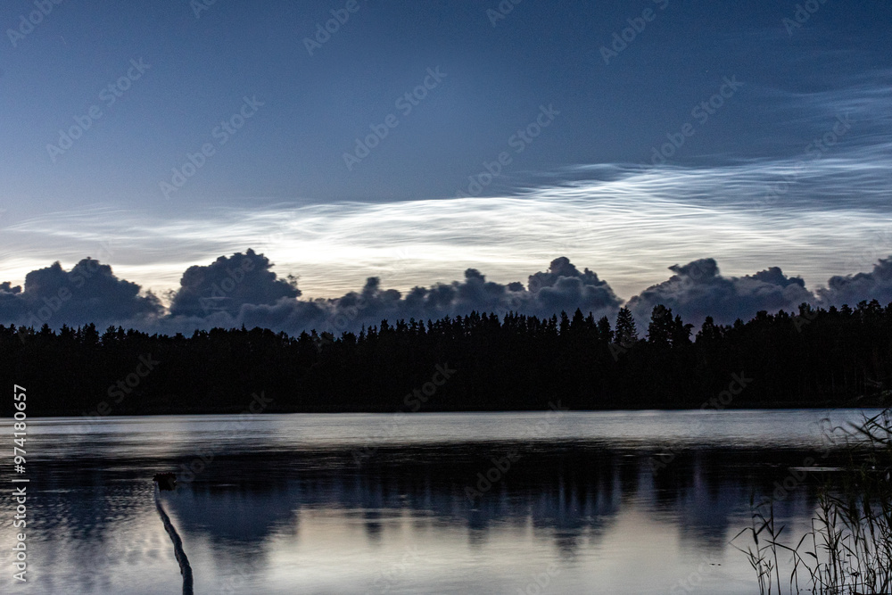 Fototapeta premium charming night landscape with silver clouds, silver clouds over the lake, dark forest silhouette in the background, mesospheric clouds