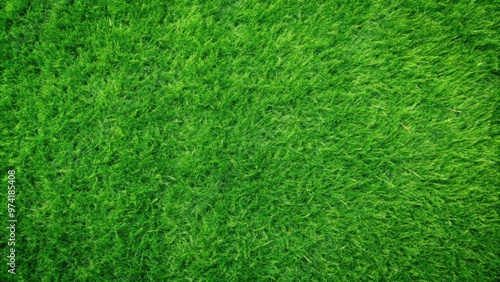 Wallpaper Mural A top view image of a lush green grass lawn texture frame perfect for backgrounds or designs Torontodigital.ca