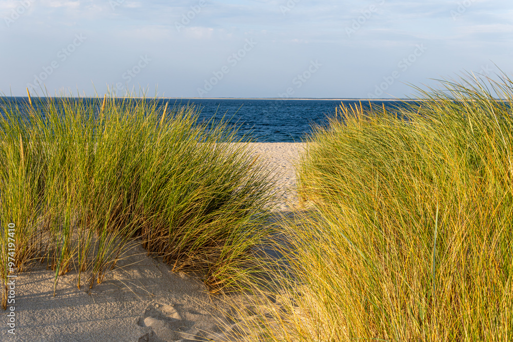 Beach Scene - Beach grass on the island Sylt Beach Scene - Beach grass on the island Sylt
