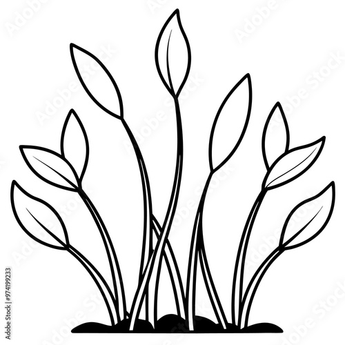 sprouted plants outline coloring book page line art drawing