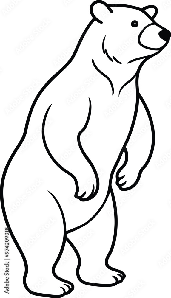 Fototapeta premium Fun Bear Coloring Book Standing Tall on Hind Legs 