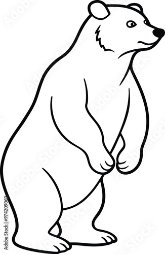 Bear on Hind Legs Coloring Pages for Kids
