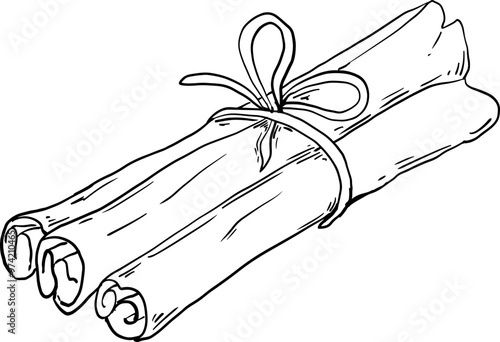 sketch cinnamon stick