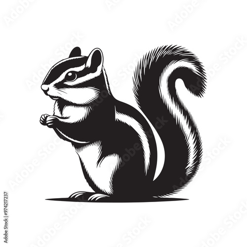 Minimalistic chipmunk silhouette for modern and artistic uses - Chipmunk illustration - minimallest chipmunk vector
