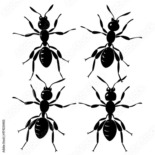 Black and white hand-drawn ant set icon silhouettes are isolated on a white background. Ant animal set clipart vector silhouette