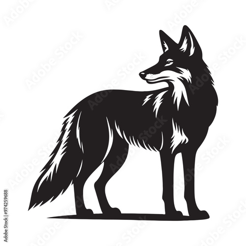 Stylish coyote silhouette for creative design purposes - Coyote black vector
