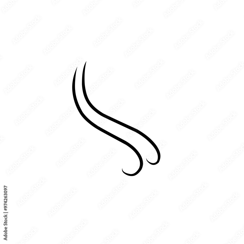 hairline illustration hairline illustration