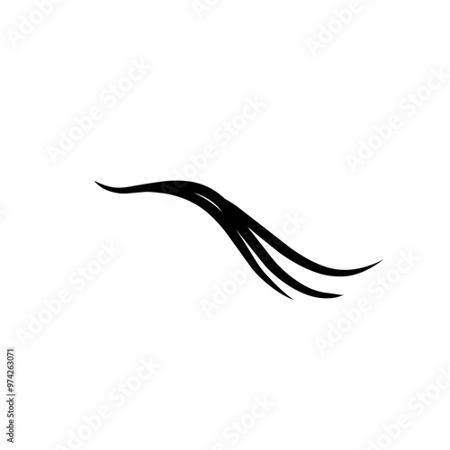 hairline illustration