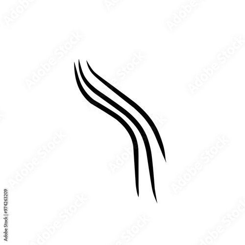 hairline illustration